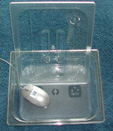 Clear Container with Lid - 100mm deep Half Size